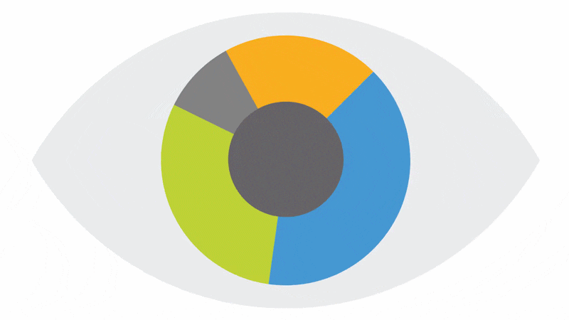 ZEISS Vision Profile Logo